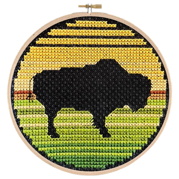 Bison by Pigeon Coop
