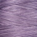 Catmint 1312 - Weeks Dye Works