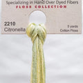 Citronella 2210 - Weeks Dye Works