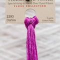 Dahlia 2293 - Weeks Dye Works