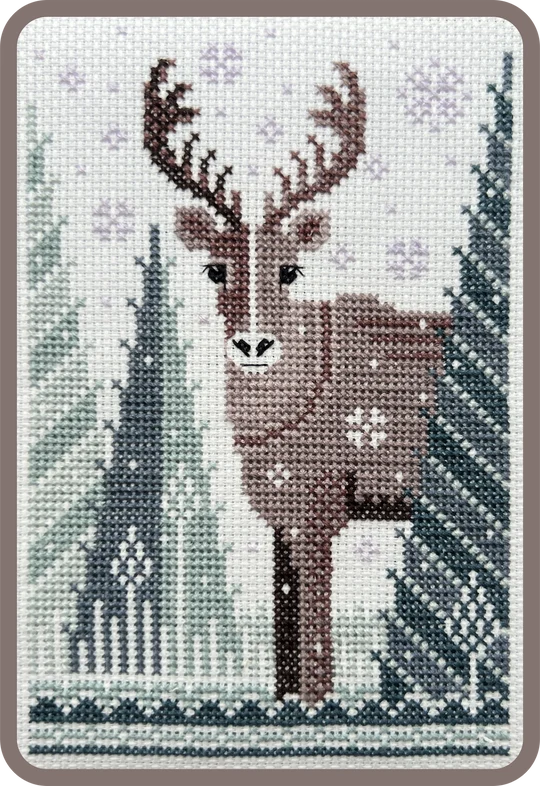 Lone Caribou by Pigeon Coop