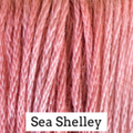 Sea Shelley - Classic Colorworks