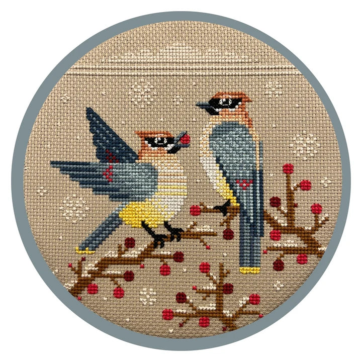 Wintry Waxwings by Pigeon Coop